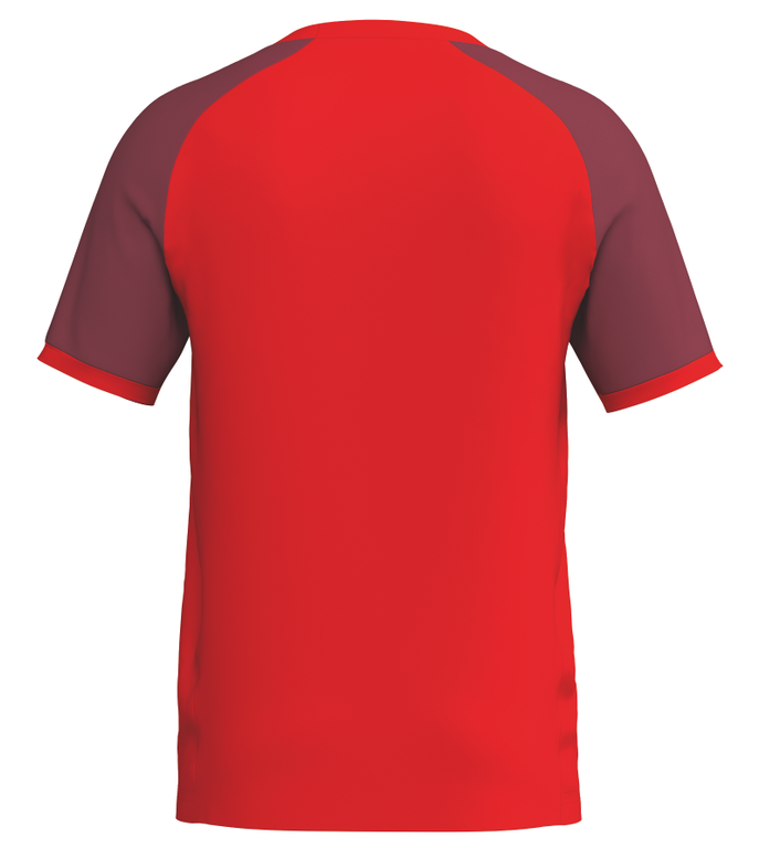 ERIMA WINGS Jersey
