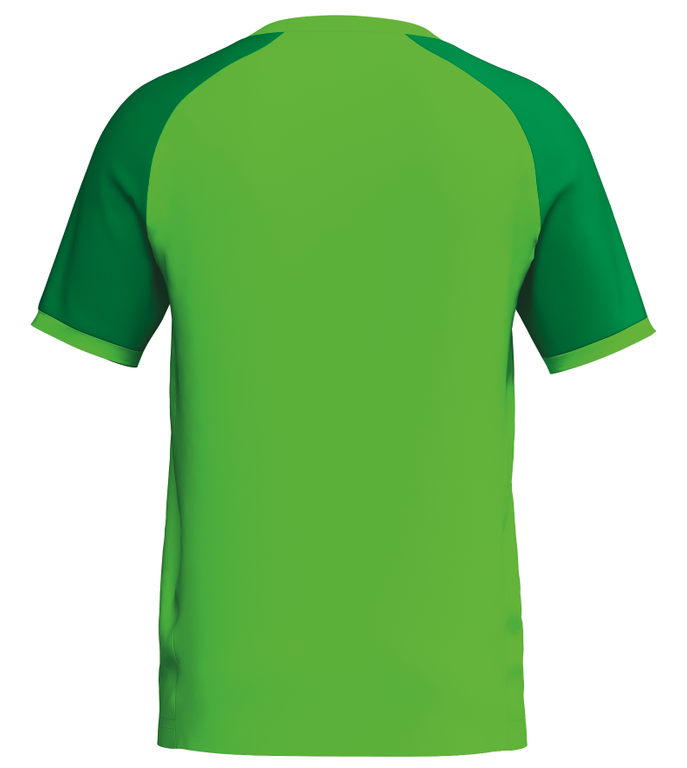 ERIMA WINGS Jersey