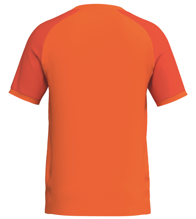 ERIMA WINGS Jersey