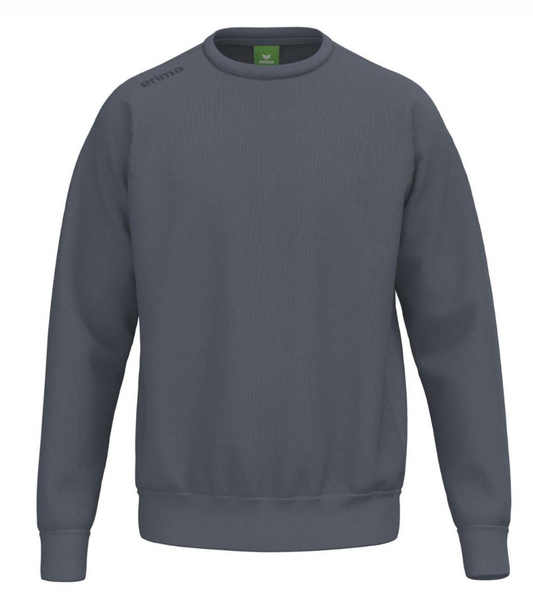 Erima sweatshirt med 60% bomuld - Slate grey