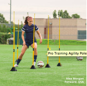 1 stk. SKLZ Training Agility Weight Cones - 1,8 kg.