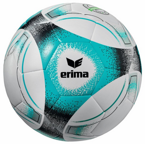 Erima Hybrid lite 290 str. 5