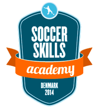 Indlæs billede til gallerivisning Soccer Skills Academy Denmark træningstrøje med hætte
